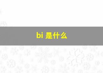 bi 是什么